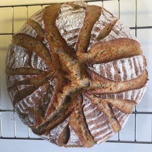 Meet your Posher, Sara